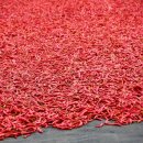 신흥건조기합천군대리점 이미지