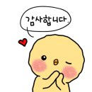 초중9길 이미지