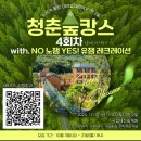 법백로1 이미지