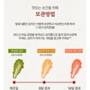 여수 갓김치 포장 택배 주문 옹고집싱싱식품 이용 후기