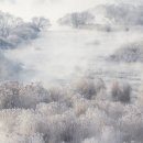 한라산오디