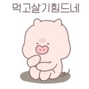 금장해수사우나 이미지