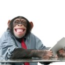 인터넷 월드 이미지