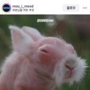 커리어링크