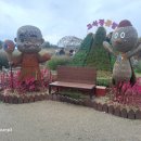 고석정 | 고석정 꽃밭 후기