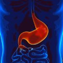 위암의 초기증상 外 33 이미지