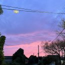 쏭자스테이 | 서귀포 성산읍 독채펜션 가족 단체 추천하는 쏭자스테이