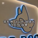피피독 이미지
