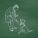 수정상가시장 1 이미지