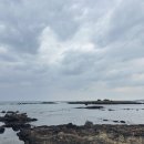 소금새 | 커플 여행 제주도 서귀포 감성숙소 추천 자쿠지 펜션 소금새 B동 내돈내산 후기