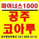 공주행운부동산공인중개사사무소 이미지