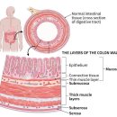 유창훈내과의원 이미지