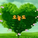 아름다운쉼터 Daum카페