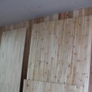 상판소나무숲 이미지