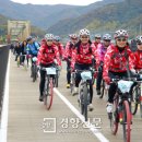 강변자전거길(남) 이미지