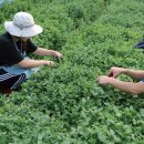 논밭상점 이미지