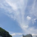 파인리조트 이미지