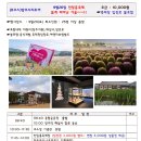 (만원의행복)9/26 토 추석 다음날 양주시티투어 (천일홍 축제장.조소앙기념관.회암사지 박물관) 35명만갑니다 이미지