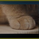 금강호관광지 이미지