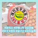 천태산농원 이미지