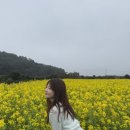 도틀왓 제주 | 제주 동쪽 여행코스 맛집/카페 제주 비오는날 가볼만한 곳 3박4일 여행
