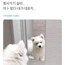 주식회사 강엔터테인먼트 네이버블로그