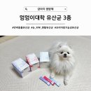 멍멍이를 부탁해 | [강아지 영양제] 멍멍이대학 유산균 3종(눈 피부 덴탈) 한 달 급여 후기