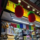 히포힐스 이미지