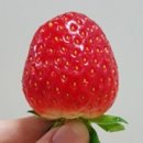태희공방
