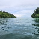 #[말레이시아 여행] 툰구압둘 해양국립공원 아일랜드투어...........2 이미지