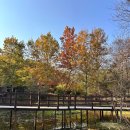 물향기공원 | [오산] 가볼 만한 곳 ｜물향기 수목원 2