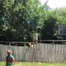 옆집강아지 이미지