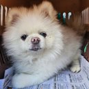 묘도1길 이미지