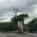 평화레저타운 이미지