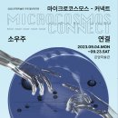 은암미술관 베리타스알파