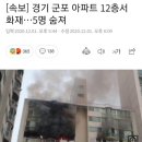 경기 군포 아파트 12층서 화재..5명 숨져 이미지