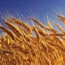 모텐셜의원 이미지