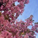 GS25월촌화성점 이미지