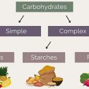 닥터 펠리체 짐 이미지