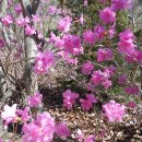 유토경로당 이미지