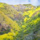 칠갑산자연휴양림 이미지