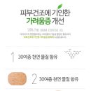 주식회사 시피 네이버블로그