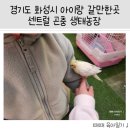 장식농장2 | 경기도 화성시 아이랑 갈만한 곳 - 센트럴 곤충 생태농장