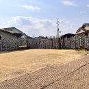 토르스테이 이미지