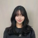 헤어보그 이미지