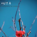 다락방 민박 이미지