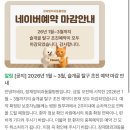 장재영외과동물병원 | 슬개골 외과진료 국내최고 장재영외과동물병원