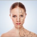 리즈성형외과의원 이미지