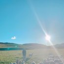 태형목장 이미지