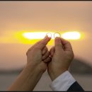 바로인연결혼정보 이미지